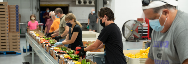 志愿人员准备一箱箱蔬菜和水果，分发给加拿大饥民. (Photo: Food Banks Canada)
